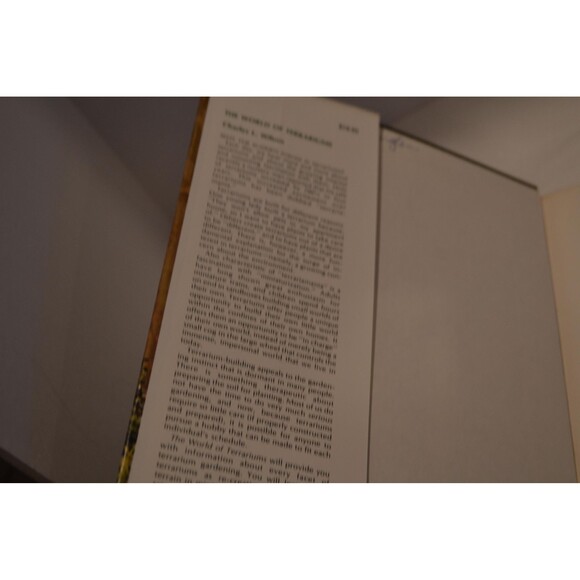 Terrariums 1970s Are Back The World of Terrariums 1975s  Design Building Caring - Picture 5 of 7